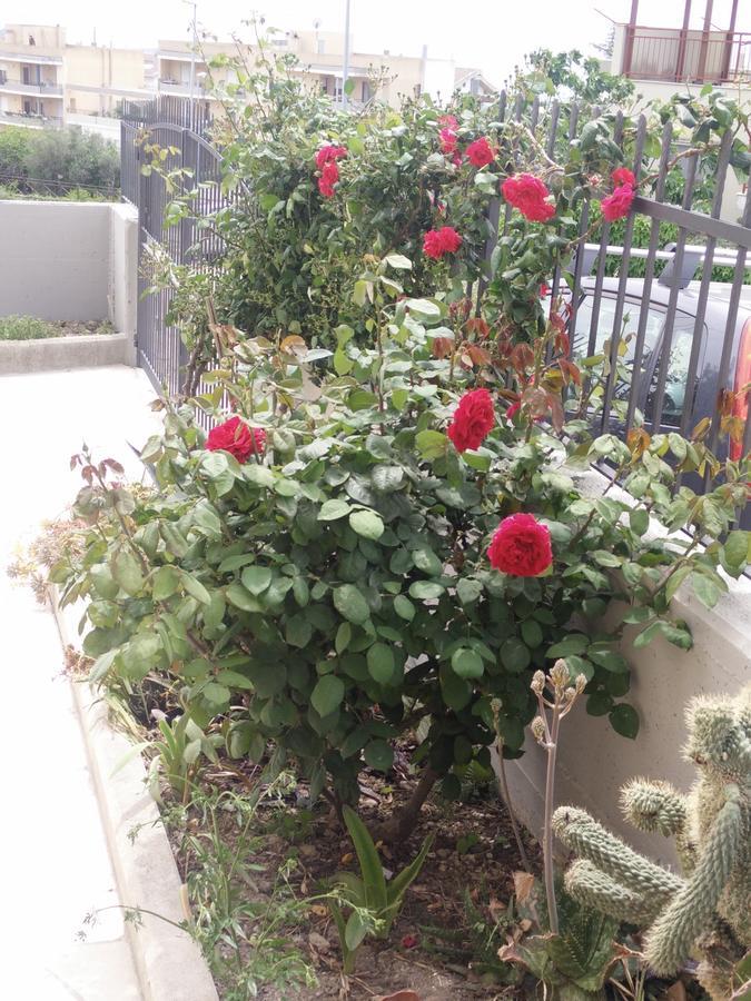 ماتيرا B&B Green Da Maria المظهر الخارجي الصورة